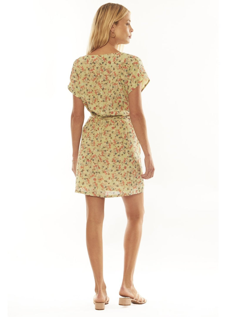 Amuse Society BUTTERFLIES DRESS-HYD - Stoke Outlets